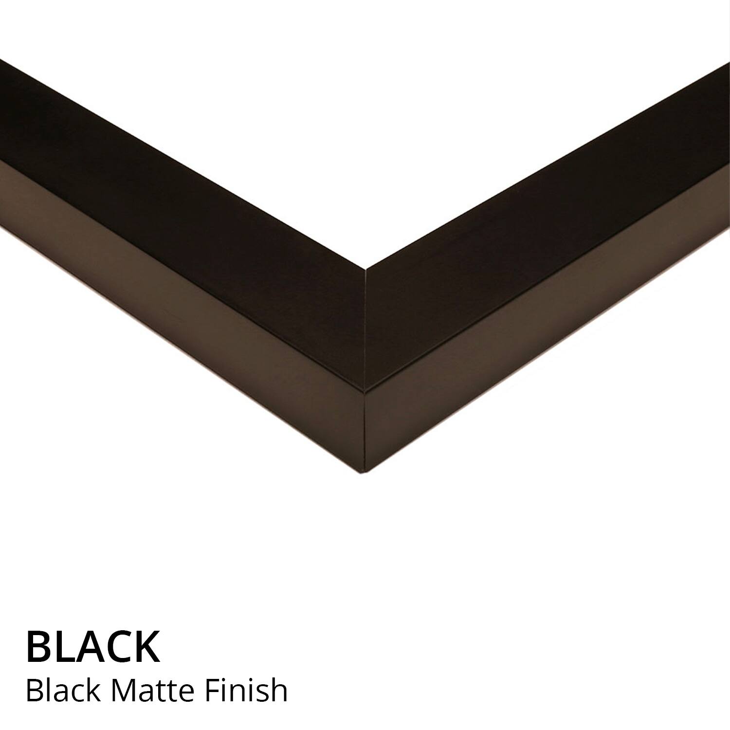 iCanvas "Through The Trees II" by Simon Addyman Bed Bath & Beyond